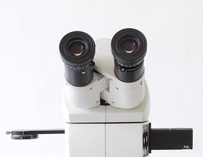 ý@΢RLeica DM1750MŴ󱶔(sh)ГQ