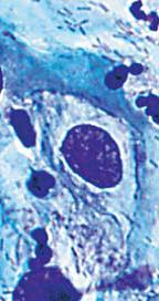 DM1000-3000自動(dòng)調(diào)節(jié)較佳光強(qiáng)度2.jpg