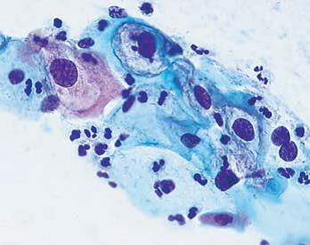 DM1000-3000(x)W(xu).jpg