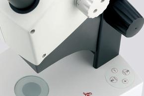 Leica徠卡EZ4W和EZ4E內(nèi)置相機(jī)體式顯微鏡10