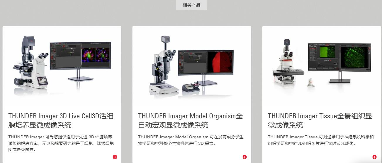 用于常规荧光成像 4.jpg