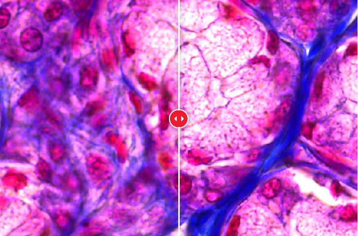 显微镜摄像头系列 K3C & K3M  4.jpg