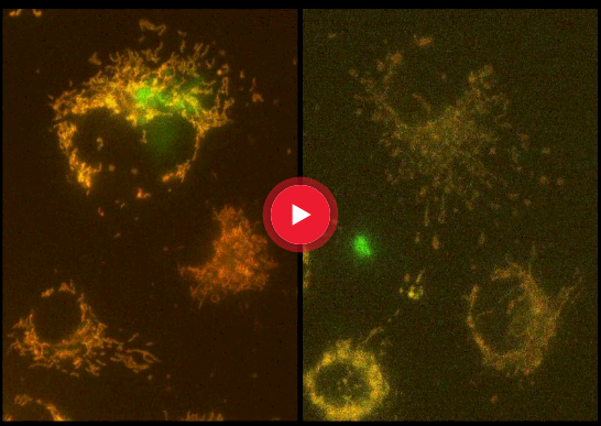 为科学研究而生的CMOS摄像头 K8 1.png