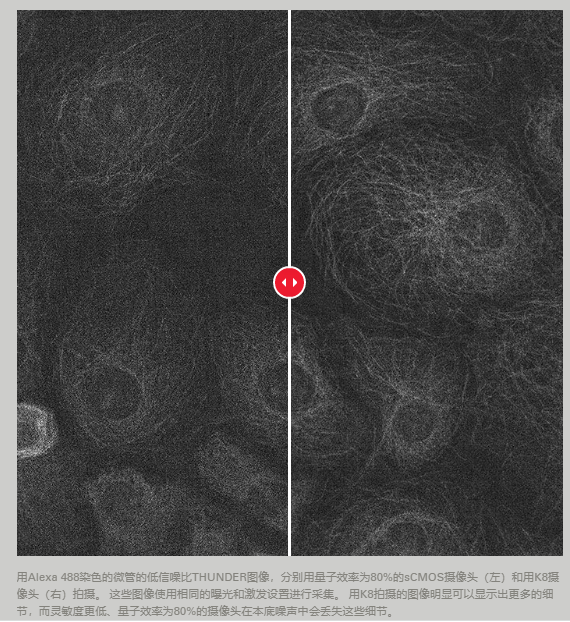 为科学研究而生的CMOS摄像头 K8 2a.png
