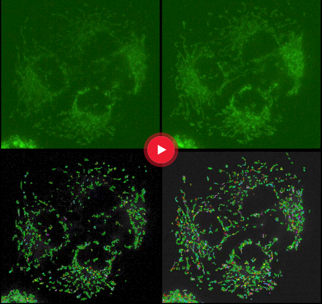 为科学研究而生的CMOS摄像头 K8 3.png