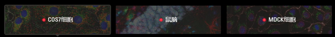 为科学研究而生的CMOS摄像头 K8 4.png