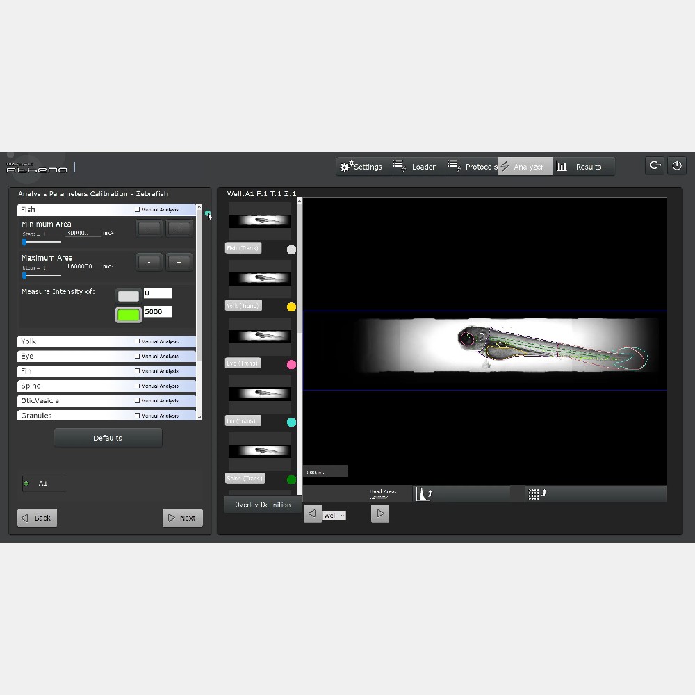 雅典娜斑马鱼图像分析软件